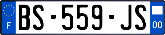 BS-559-JS