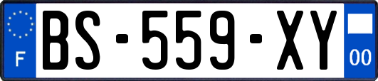 BS-559-XY