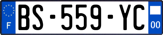 BS-559-YC