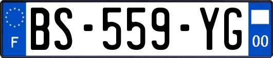 BS-559-YG