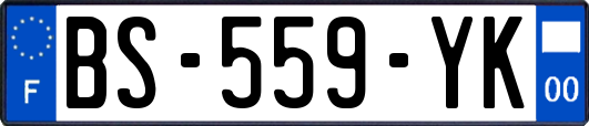 BS-559-YK