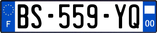 BS-559-YQ