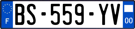 BS-559-YV