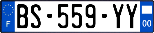BS-559-YY