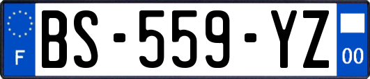 BS-559-YZ