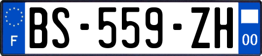BS-559-ZH