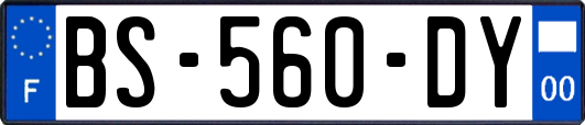 BS-560-DY