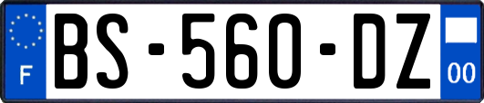 BS-560-DZ