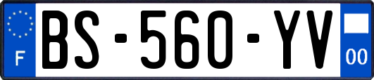 BS-560-YV