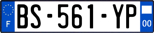 BS-561-YP