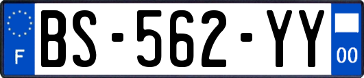 BS-562-YY