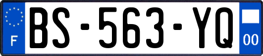 BS-563-YQ