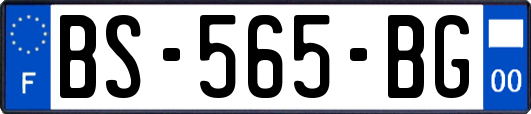 BS-565-BG