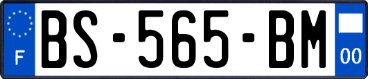 BS-565-BM