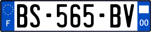 BS-565-BV