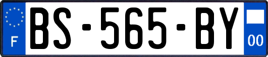 BS-565-BY