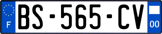 BS-565-CV