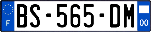 BS-565-DM