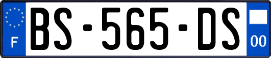 BS-565-DS