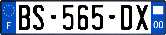 BS-565-DX