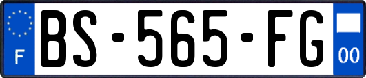 BS-565-FG