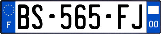 BS-565-FJ