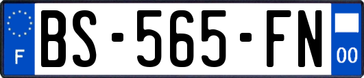 BS-565-FN