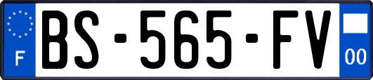 BS-565-FV
