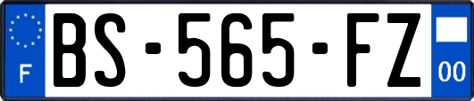 BS-565-FZ