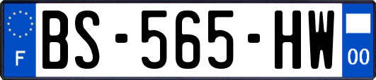 BS-565-HW