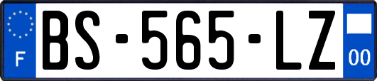 BS-565-LZ