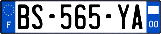 BS-565-YA