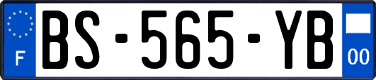 BS-565-YB