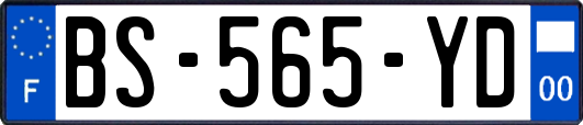 BS-565-YD