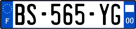 BS-565-YG