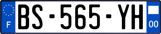 BS-565-YH