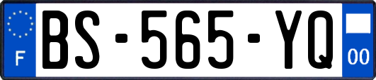 BS-565-YQ