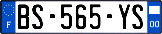 BS-565-YS