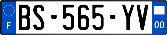 BS-565-YV