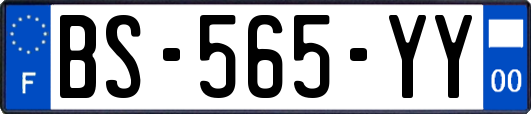 BS-565-YY
