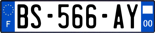 BS-566-AY