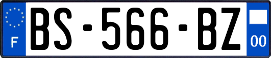 BS-566-BZ