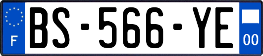 BS-566-YE
