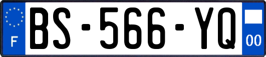 BS-566-YQ