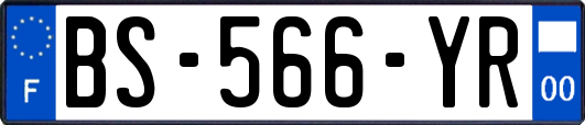 BS-566-YR