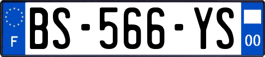 BS-566-YS
