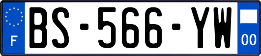 BS-566-YW