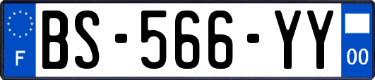 BS-566-YY