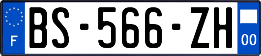 BS-566-ZH