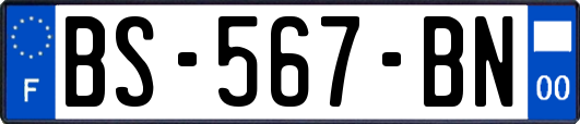 BS-567-BN